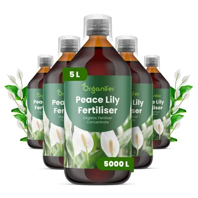 Produktbild von Einblatt Flüssigdünger 5x1L – 3-4-3 NPK – Flüssig-Pflanzendünger für Einblatt – Organifer
