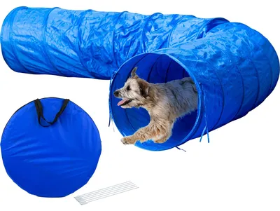 Image de dobar Agility Tunnel 500 cm de long, tunnel pliable pour sport canin, Ø 60 cm, bleu