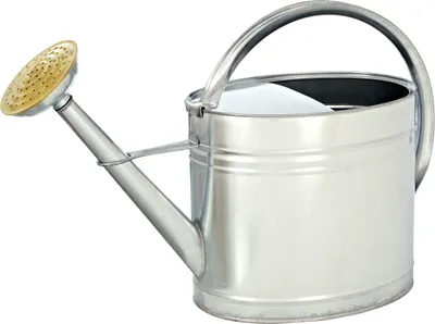 Produktbild von Dehner Gießkanne nostalgisch, oval, 9 l, ca. 53 x 40 x 21 cm, Zink, silber