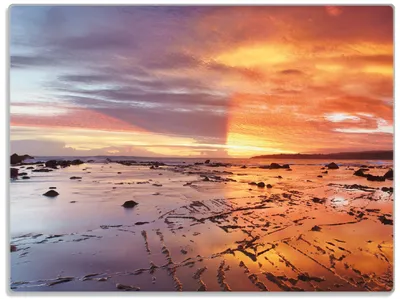 Produktbild von Wallario Glasunterlage, Schneidebrett aus Glas, Größe 30 x 40 cm, Motiv Wattwanderung am Meer bei Sonnenuntergang