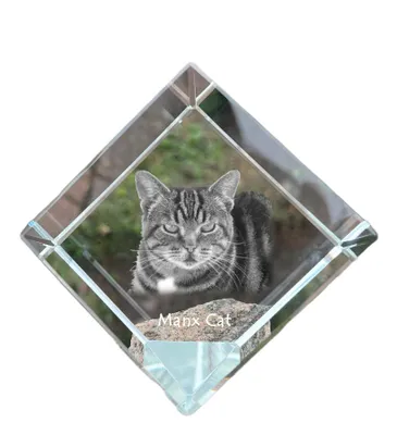 Produktbild von Manx Kristallwürfel mit Katze Art-Dog