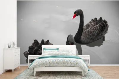 Produktbild von MuchoWow® Fototapete für Wohnzimmer oder Schlafzimmer Wandtapete Vinyl Motivtapete Schwäne - Schwarz - Wasser - 350x260 cm - Wohnzimmer-Tapete