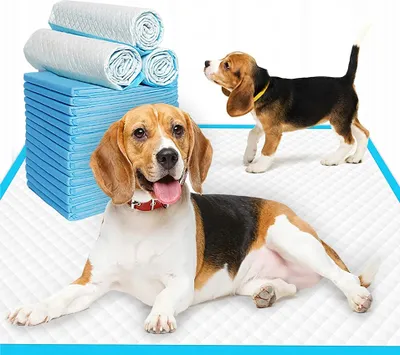 Produktbild von Trainingspads für Hunde & Welpen, 60x60 cm, 5-lagig, auslaufsicher, saugstark, Hygienematten für Haustiere, 20 Stück – ideal für Stubenreinheit, Seniorenhunde & Kleintiere in blau