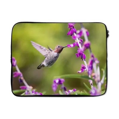 Produktbild von MuchoWow® Laptop Hülle 17 Zoll Laptoptasche Kolibri - Vogel - Natur - Zipper - Schutzabdeckung