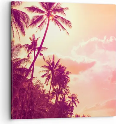 Produktbild von Bild auf Leinwand - Leinwandbild - palme dschungel - 70x70cm - Wand Bild - Wanddeko - Wandbilder - Leinwanddruck - Bilder - Kunstdruck - Wanddekoration - Leinwand bilder - Wandkunst - AC70x70-3994