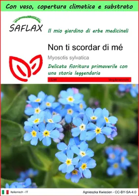 Immagine prodotto di SAFLAX Garden to go - Non ti scordar di mé - 150 semi - Myosotis