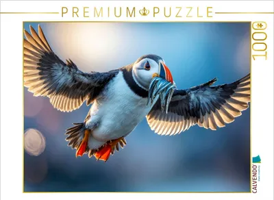 Produktbild von CALVENDO Puzzle Ein Schnabel voller Fisch | 1000 Teile Lege-Größe 64x48cm Foto-Puzzle für glückliche Stunden