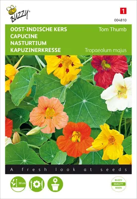 Produktbild von Kapuzinerkresse Tom Thumb Niedrige Mischung | Kapuzinerkressesamen von Buzzy Seeds