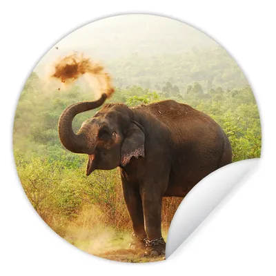 Produktbild von MuchoWow® Runde Wandtattoo - Wandsticker Tapete Aufkleber Elefant - Tiere - Wald - Bäume Ø 50 cm Selbstklebend und Repositionierbar - Wandaufkleber - Kreis - Wand Kreis - Wand Bild - Foto Tapete - Selbstklebende - Wohnzimmerdekoration - Wand Dekoration - Kinderzimmer