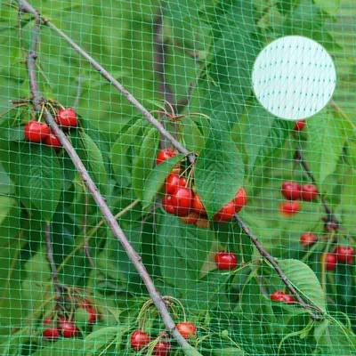 Obrázek produktu pro Ochranná síť proti ptákům, rozměry 4 x 12 metrů, oka o velikosti 2 x 2 cm, zelená barva, pro použití v zahradě