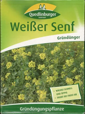 Produktbild von Senf 500 g | Gründünger von Quedlinburger