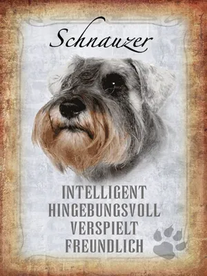 Produktbild von vianmo Holzschild 40x30 cm Schnauzer Hund