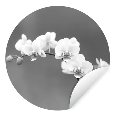 Produktbild von MuchoWow® Runde Wandtattoo - Wandsticker Tapete Aufkleber Orchidee - Blumen - Pflanze - Weiß - Lila Ø 80 cm Selbstklebend und Repositionierbar - Wandaufkleber - Kreis - Mauerkreis - Wand Bilder - Wandsticker - Wohnzimmer Dekoration - Dekoration für die Wände - Aluminium - Babyzimmer