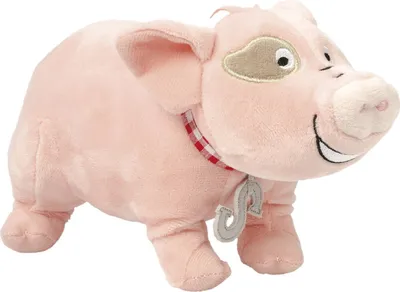 Image de Peluche Fien et Teun - Sébastien le cochon, 22cm
