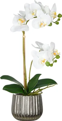 Produktbild von Kunstpflanze Phalaenopsis H 48 cm weiss