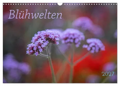 Produktbild von Blühwelten (Wandkalender 2027 DIN A3 quer), CALVENDO Monatskalender