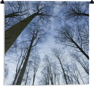 Produktbild von MuchoWow® Wandteppich Wandbehang Wald - Bäume - Himmel 90x90 cm Tapisserie Dekoration Wandtuch - Wandaufhänger