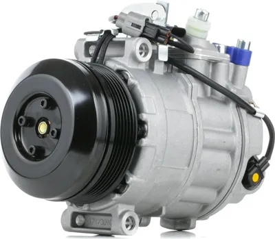 Produktbild von RIDEX 447K0442 7SBU17C Klimaanlage Klimakompressor PAG 46 R134a passend für MERCEDES-BENZ SPRINTER 3,5-t Kasten (906) S-Klasse Limousine