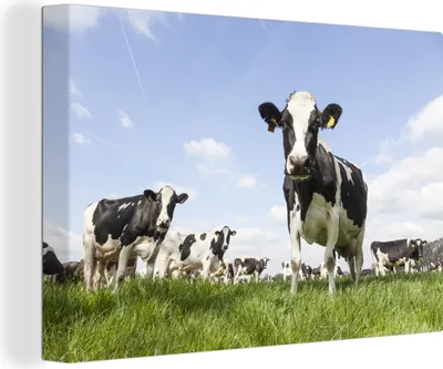 Produktbild von OneMillionCanvasses® - Leinwandbilder - 140x90 cm, Kühe - Gras - Tiere - Sonne - Bauernhof, Wandbilder Kunstdruck Wanddekoration - Foto auf Leinwand - Gemälde auf Holzrahmen