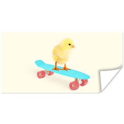 Produktbild von MuchoWow® Poster Küken - Gelb - Skateboard - Blau - Tiere 80x40 cm - Wanddeko
