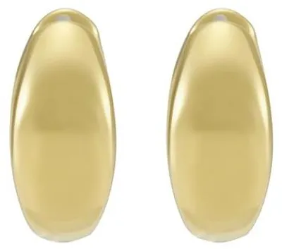 Obrázok produktu pre Náušnice Kruhové Fossil Gold Kolekcia – dámske