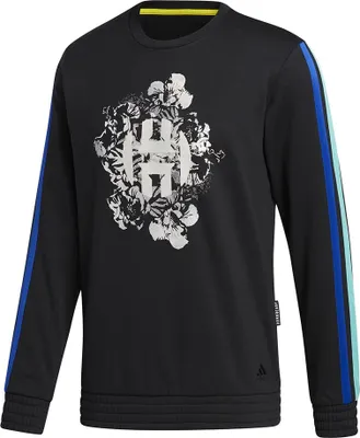 Produktbild von Adidas Sweatshirts Harden Fleece, GP8112, Größe: XL