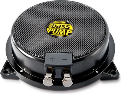 A close-up, studio shot of a car subwoofer.