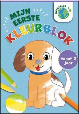 Zdjęcie produktu dla „Holland” wygrywa mój pierwszy zestaw klocków kolorowych – od 2 lat
