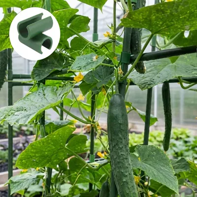 Obrázek produktu pro Úhlový Spojovací Prvek Pro Kolíky 11 Mm, Sada 10 Ks