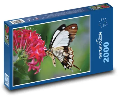 Obrázok produktu pre Puzzle 2000 Motýľ a kvet pri opeľovaní - martinpuzzle