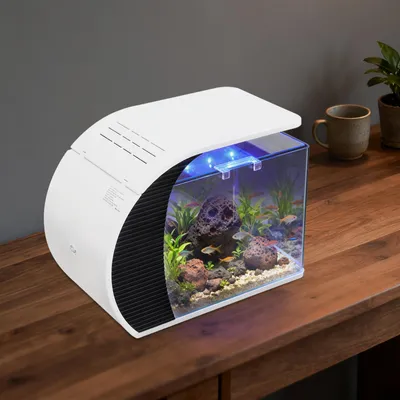 Image de 19L Petit aquarium en verre avec éclairage LED Pompe de filtration Décoration de table pour bureau salon