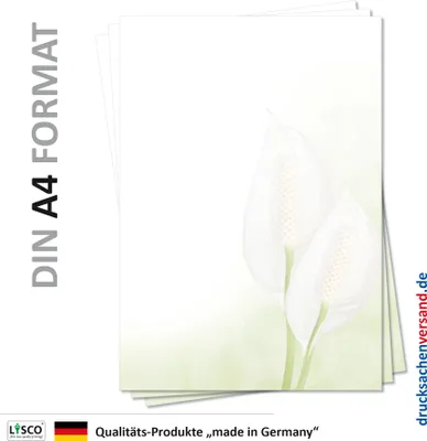 Produktbild von Motiv Briefpapier (Blumen-5117, DIN A4, 25 Blatt) Zimmerpflanzen grünes Briefpapier mit weißer Blume Einblatt Motivpapier