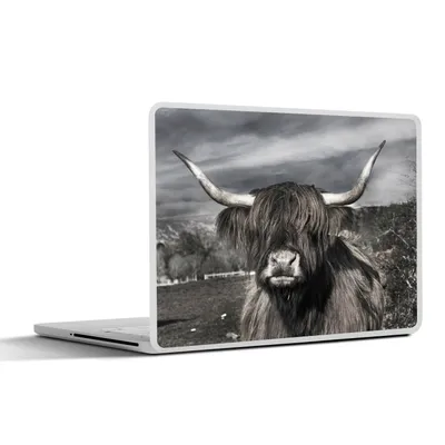 Produktbild von MuchoWow® Laptop Aufkleber Sticker Cover Schottischer Highlander - Tiere - Hörner 30x21 cm - Sticker für Laptop - Selbstklebend