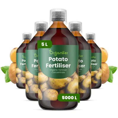 Produktbild von Kartoffeln Flüssigdünger 5x1L – 3-4-3 NPK – Flüssig-Pflanzendünger für Kartoffeln – Organifer