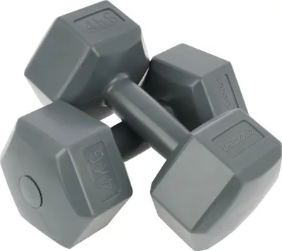 Two gray dumbbells are shown against a white background.