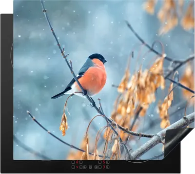 Produktbild von KitchenYeah© Herdabdeckplatte Schnee - Vogel - Tier , 58x51cm, Küche Deko, Glaskeramikkochfeld Herdabdeckung, Abdeckplatte fùr Kochfeld