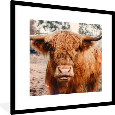Produktbild von MuchoWow® Gerahmtes Poster Kuh - Schottischer Hochländer - Hörner - Braun - Landschaft 40x40 cm - Poster mit Schwarzem Bilderrahmen Wandposter Rahmen Foto Bilder - Poster - Plakat im Rahmen