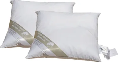 Produktbild von 2 Stück Betten Hofmann Pusta Kopfkissen 45x45 Kleinkissen Kuschelkissen 30% Daunen 250 g