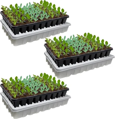 Produktbild von Anzuchtplatten für Setzlinge - 3 Stück - Freilandanbau - 162 Pflanzlöcher