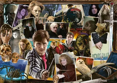 Image de Puzzle Ravensburger - Puzzle Harry Potter Contre Voldemort (1000 pièces)