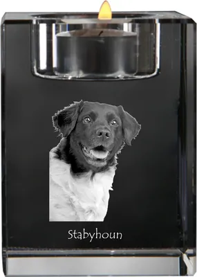 Produktbild von Stabyhoun,  Friesischer Vorstehhund, Stabijhoun - Kerzenhalter mit Hundefoto, Teelichthalter aus Kristall, personalisiertes Geschenk der Marke Art-Dog