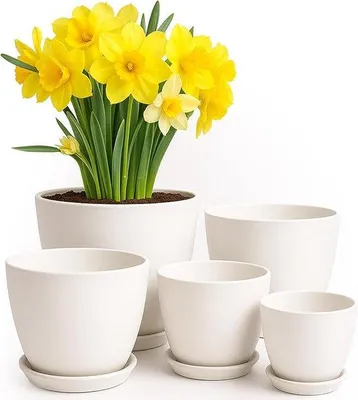 Image de Lot de 5 pots en plastique avec trous de drainage, de 7,6, 6, 6,5, 3 et 4,8 pouces, pour plantes d'intérieur et fleurs.