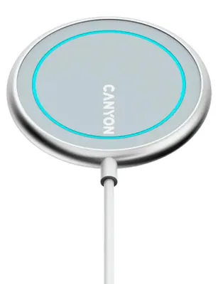 Zdjęcie produktu dla Canyon WS-100, Srebrny