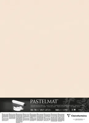 Produktbild von Clairefontaine Pastelmat Pastellmalerei, 5 Bogen 50x70 cm, 360g Beige 96055C