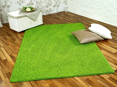 Produktbild von Hochflor Shaggy Teppich Prestige Lindgrün in 24 Größen, Größe:200x300 cm