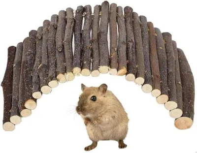 Produktbild von Holzbrücke für kleine Tiere - Hamsterrutsche, Rattenleiter, natürliche Versteckstelle für Cavia, Chinchilla, Frettchen, Reptil