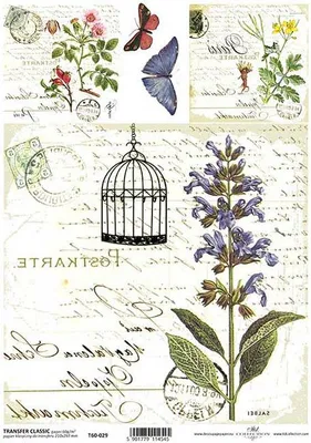 Produktbild von ITD Reispapier Decoupage Bastelpapier Softpapier Serviettentechnik, Blumen T60-029