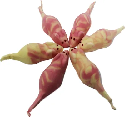 Produktbild von Aseli Schaumzucker Kiba Mäuse Kombination aus Kirsch Bananen 330g