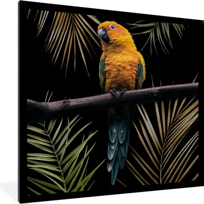 Produktbild von MuchoWow® MuchoWow® Gerahmtes Poster Vogel - Papagei - Zweig - Blätter 40x40 cm - Poster mit zchwarzem Bilderrahmen - Mit Rahmen - Wanddekoration Schlafzimmer