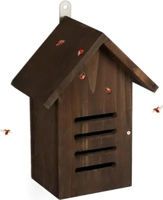 Produktbild von Marienkäferhaus aus braunem Holz